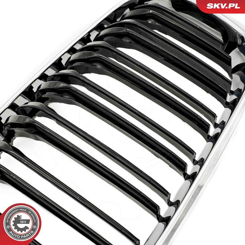 ESEN SKV, Grille de radiateur