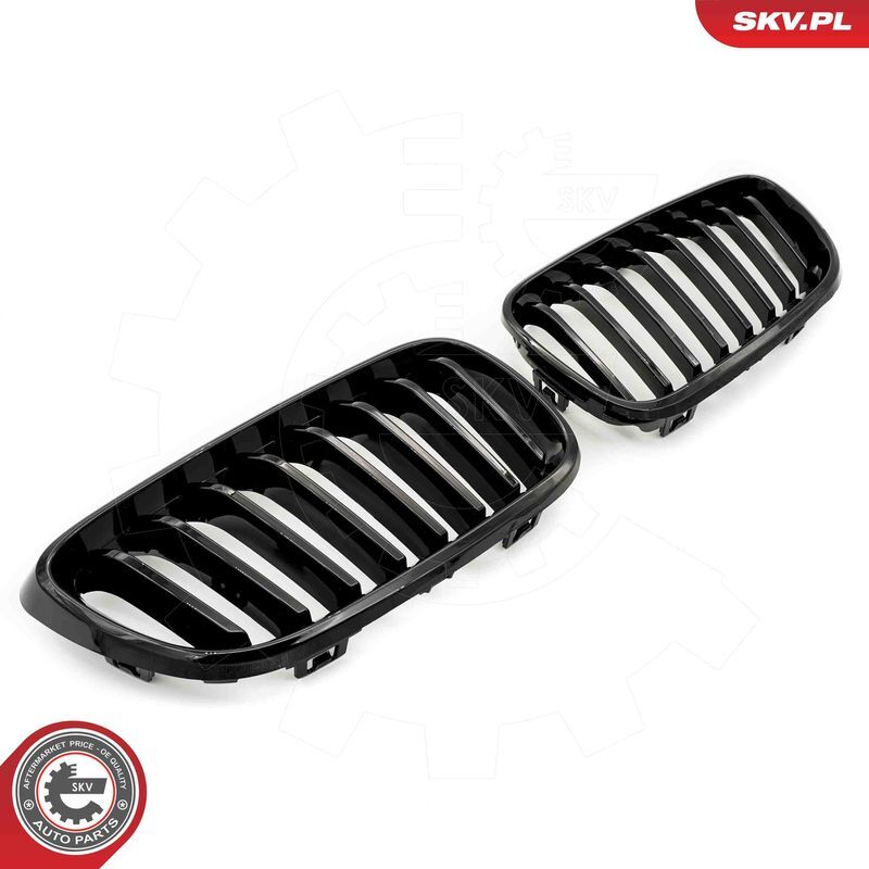 ESEN SKV, Grille de radiateur