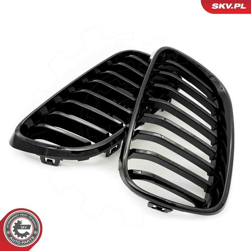 ESEN SKV, Grille de radiateur