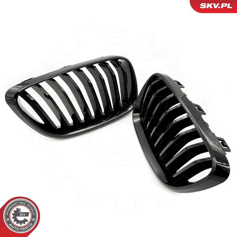 ESEN SKV, Grille de radiateur