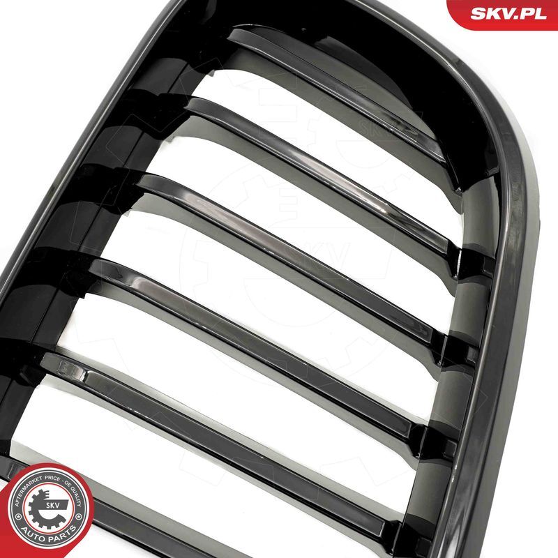 ESEN SKV, Grille de radiateur