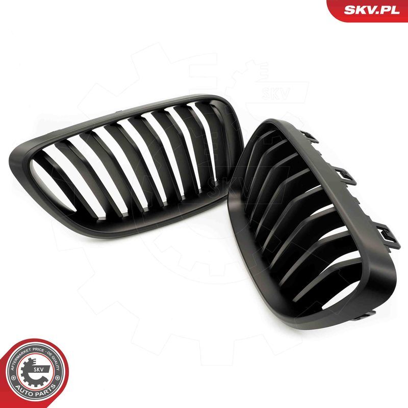 ESEN SKV, Grille de radiateur