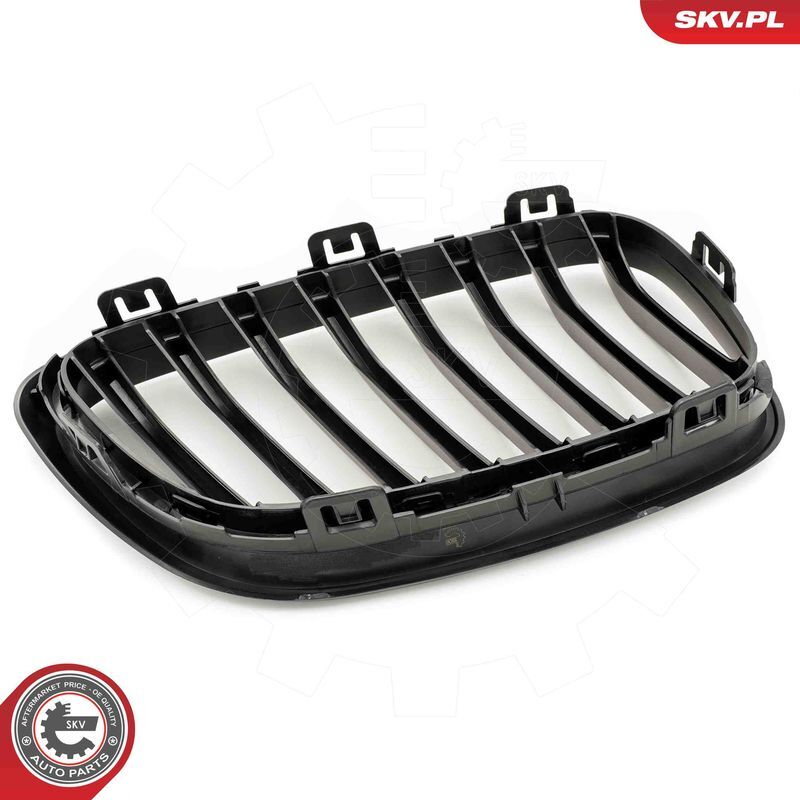 ESEN SKV, Grille de radiateur