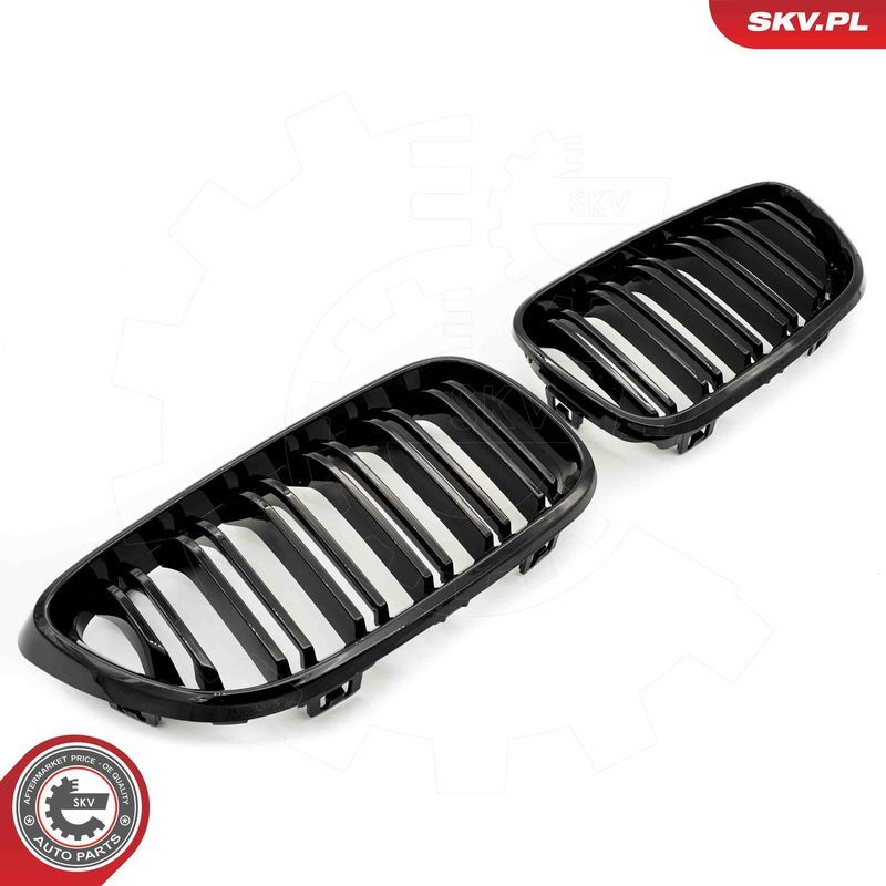 ESEN SKV, Grille de radiateur