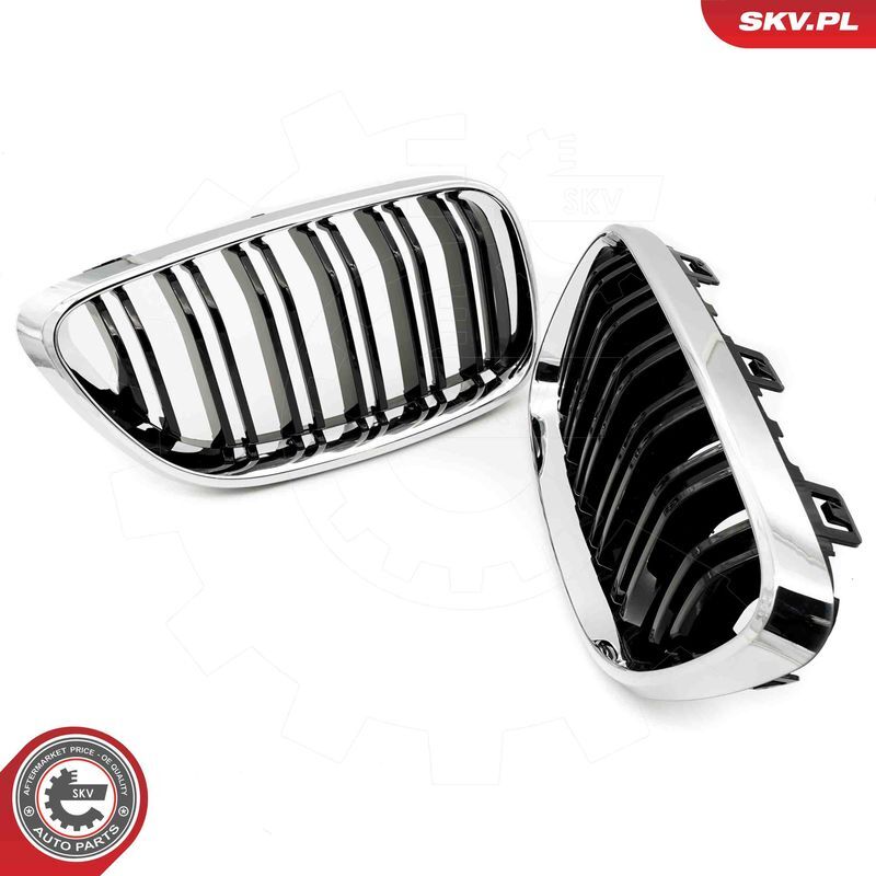 ESEN SKV, Grille de radiateur