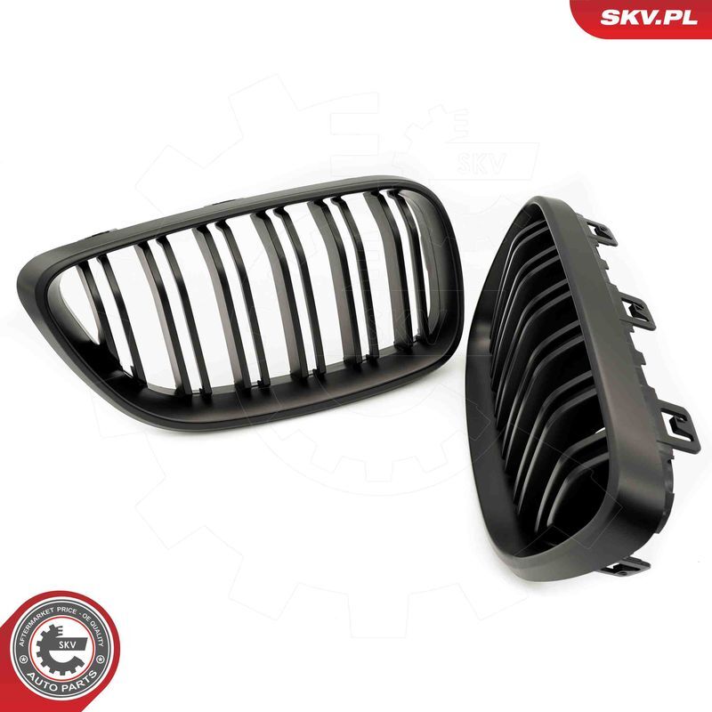 ESEN SKV, Grille de radiateur