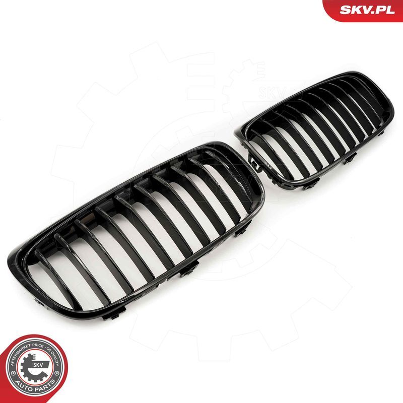 ESEN SKV, Grille de radiateur