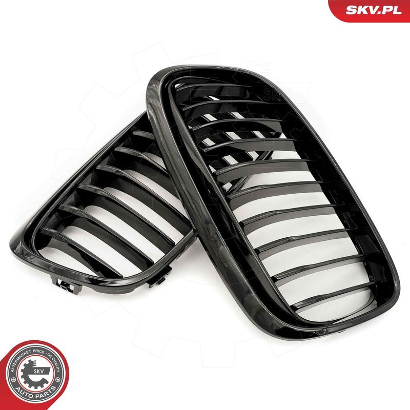 ESEN SKV, Grille de radiateur