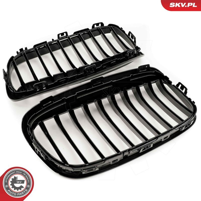 ESEN SKV, Grille de radiateur