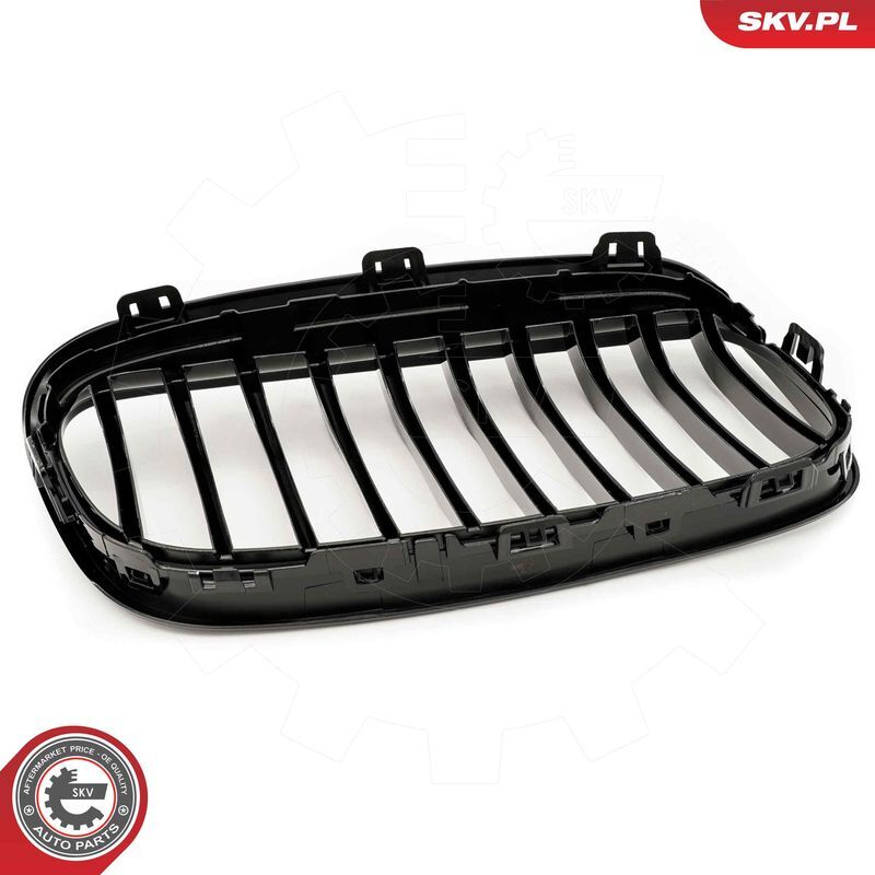 ESEN SKV, Grille de radiateur