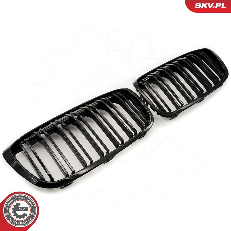 ESEN SKV, Grille de radiateur