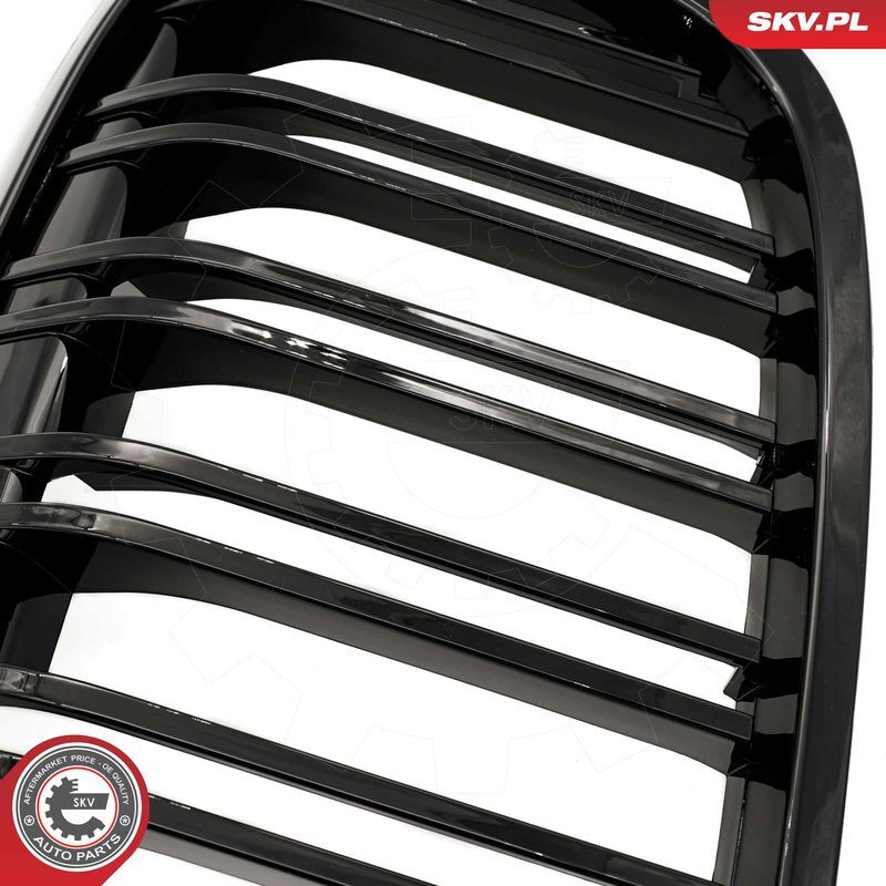 ESEN SKV, Grille de radiateur