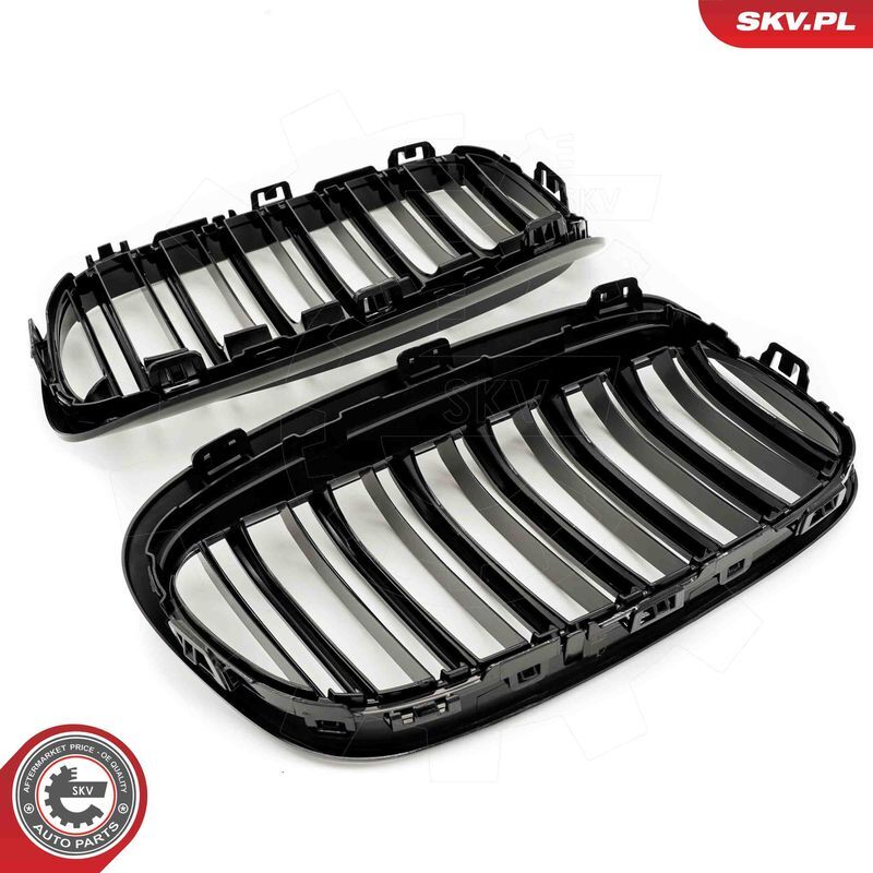 ESEN SKV, Grille de radiateur