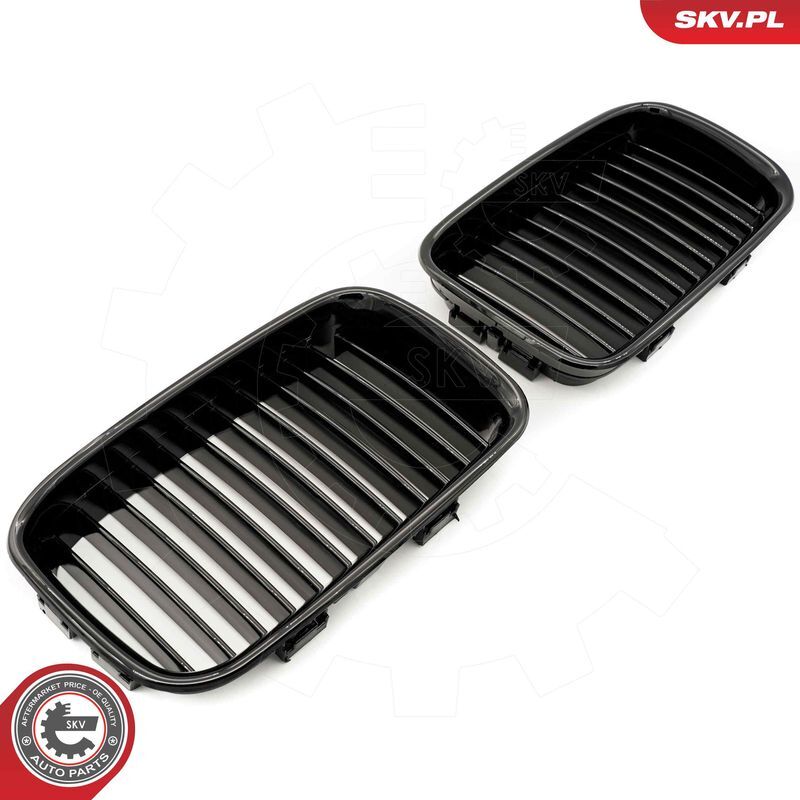 ESEN SKV, Grille de radiateur