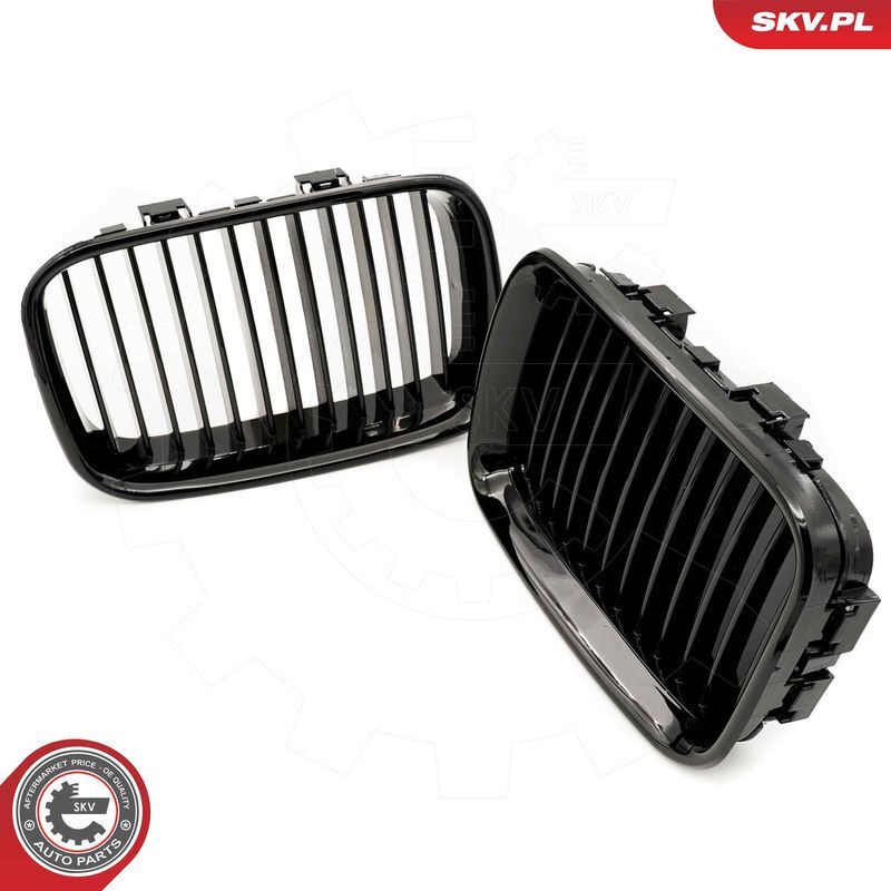 ESEN SKV, Grille de radiateur