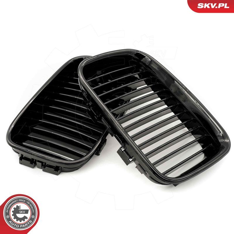 ESEN SKV, Grille de radiateur