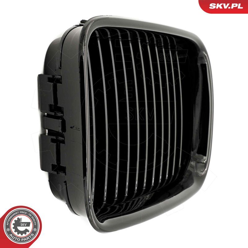 ESEN SKV, Grille de radiateur