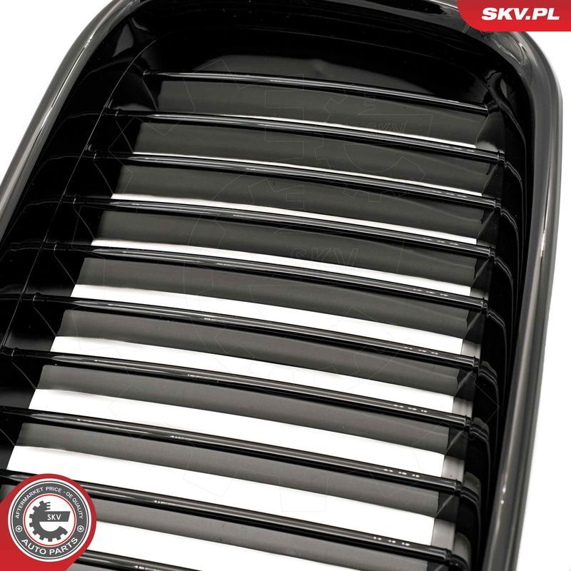 ESEN SKV, Grille de radiateur