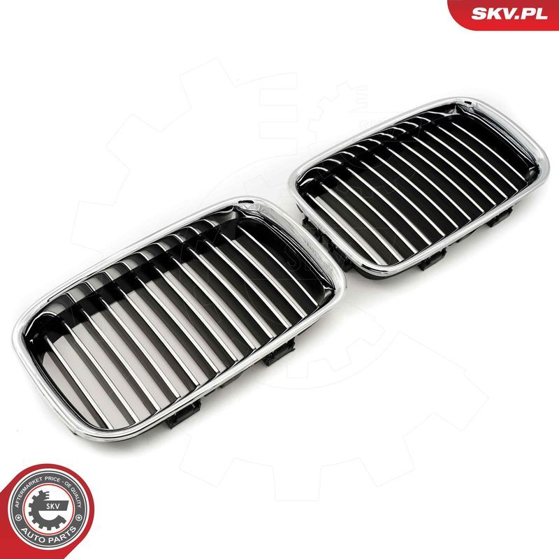 ESEN SKV, Grille de radiateur