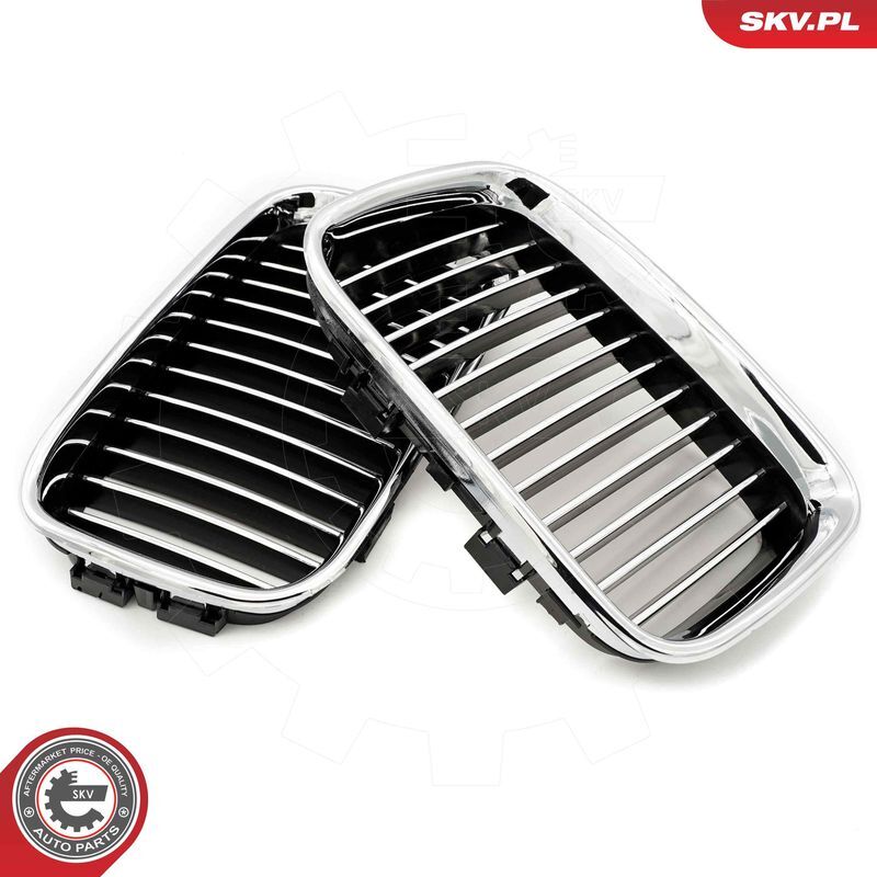 ESEN SKV, Grille de radiateur