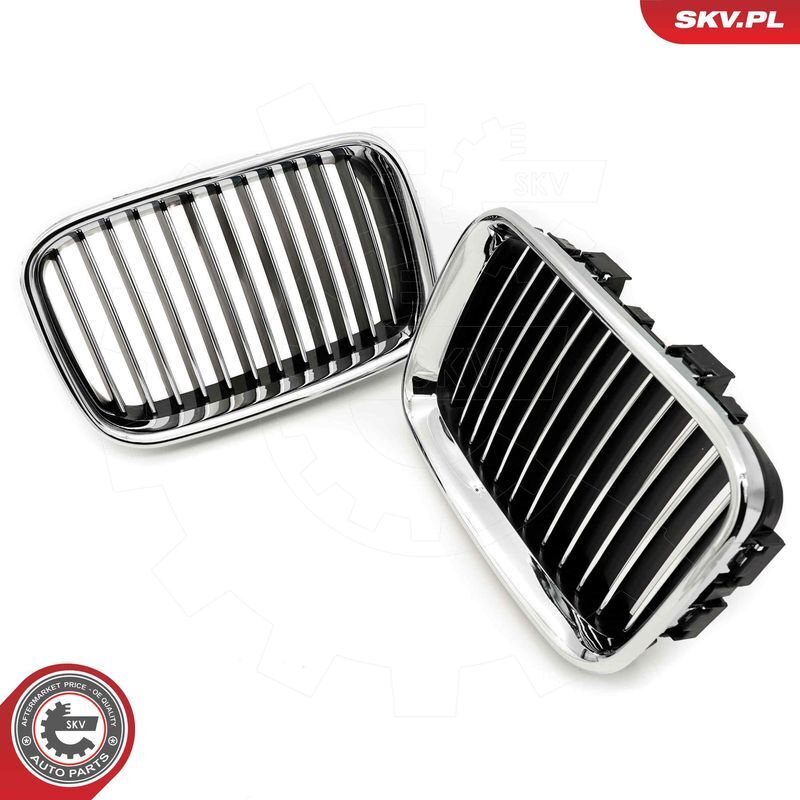 ESEN SKV, Grille de radiateur