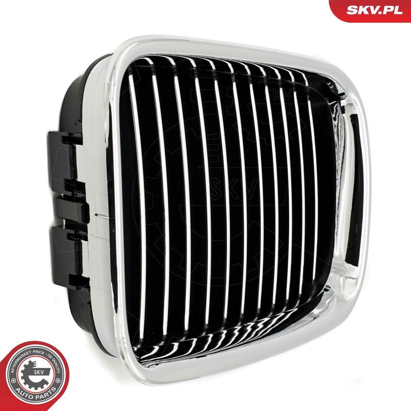 ESEN SKV, Grille de radiateur