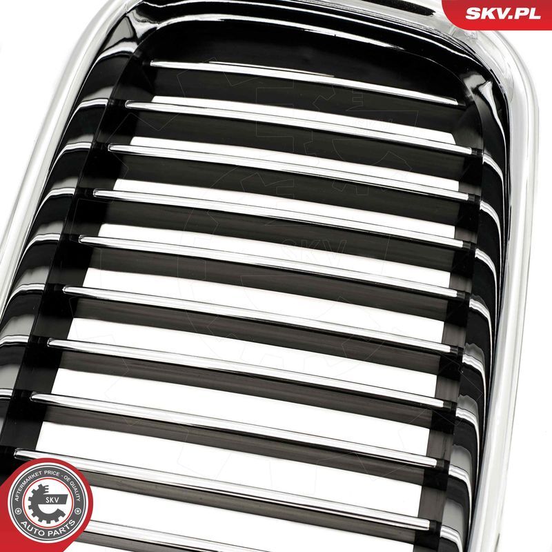 ESEN SKV, Grille de radiateur