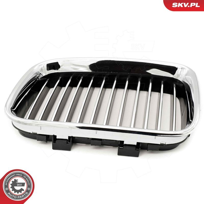 ESEN SKV, Grille de radiateur