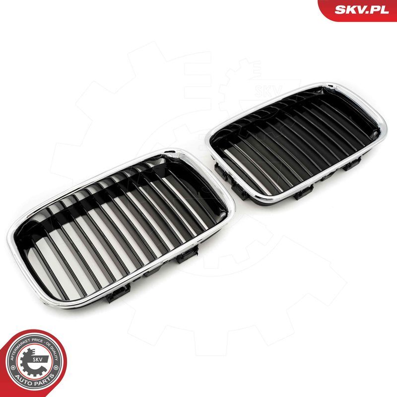 ESEN SKV, Grille de radiateur