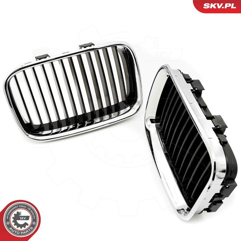 ESEN SKV, Grille de radiateur