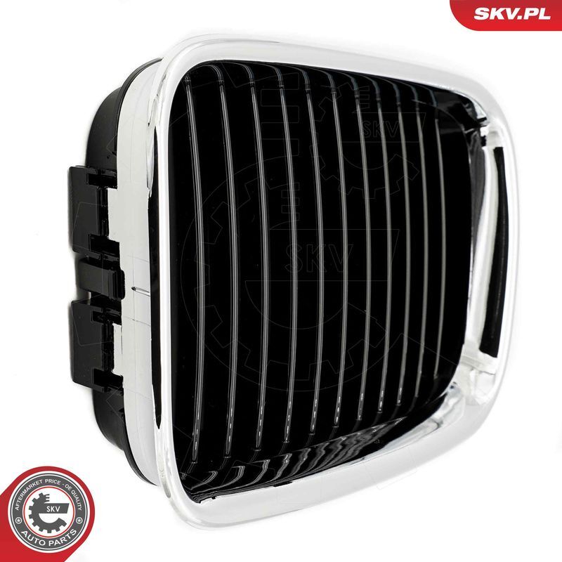 ESEN SKV, Grille de radiateur