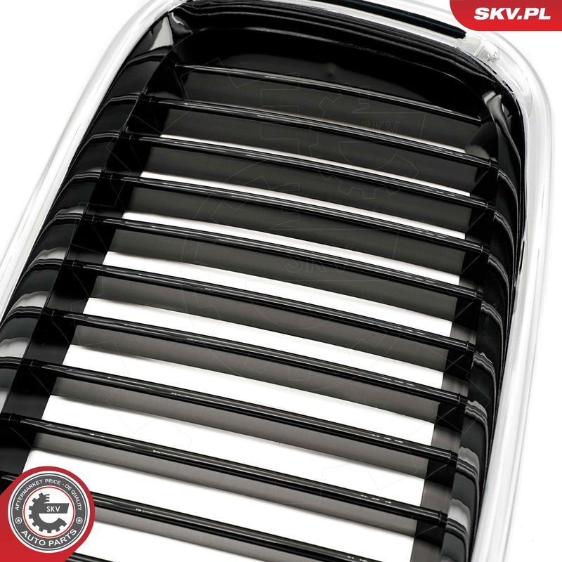 ESEN SKV, Grille de radiateur