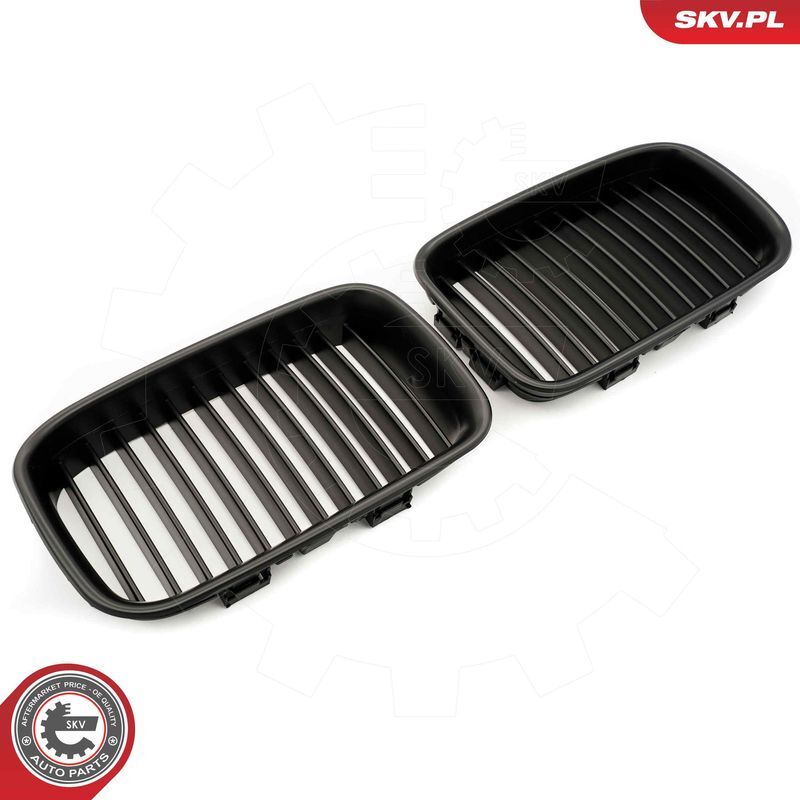 ESEN SKV, Grille de radiateur