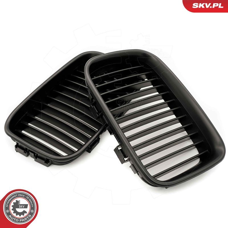 ESEN SKV, Grille de radiateur