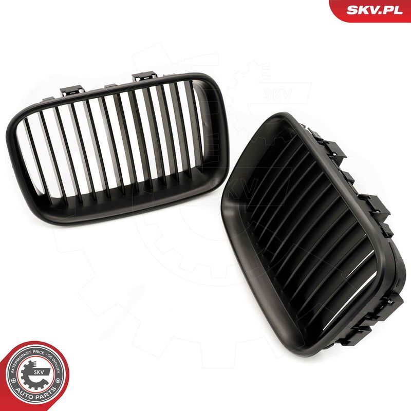 ESEN SKV, Grille de radiateur