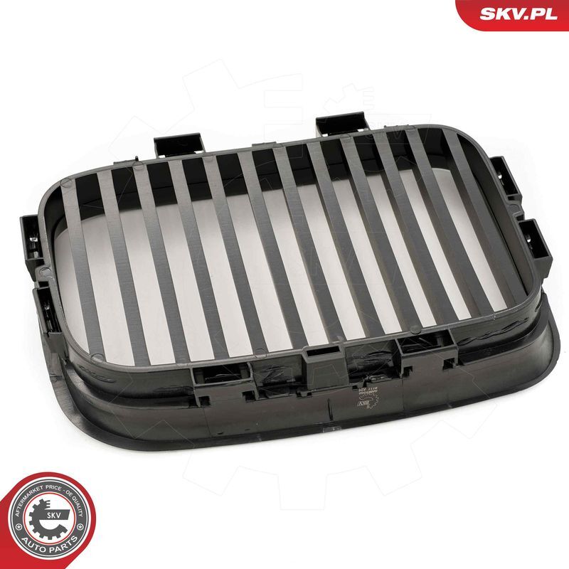 ESEN SKV, Grille de radiateur