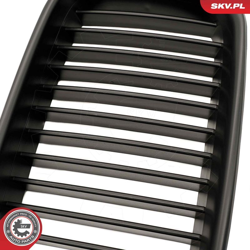 ESEN SKV, Grille de radiateur