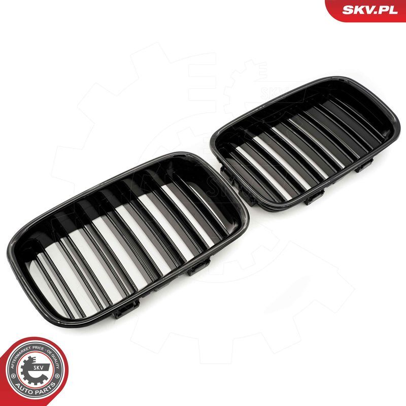 ESEN SKV, Grille de radiateur