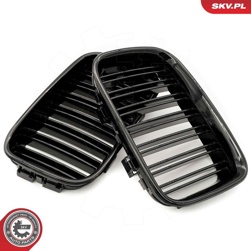 ESEN SKV, Grille de radiateur