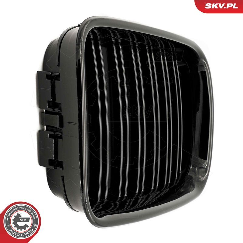 ESEN SKV, Grille de radiateur