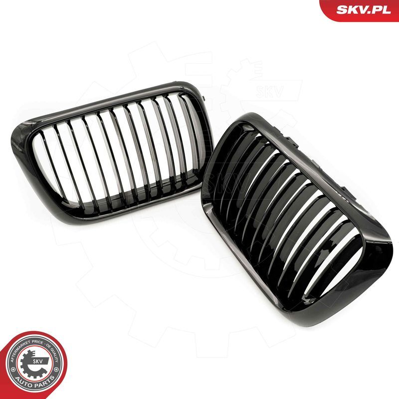 ESEN SKV, Grille de radiateur