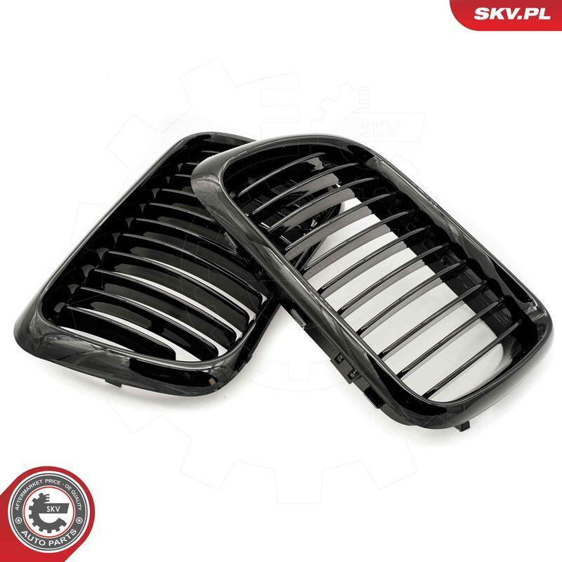 ESEN SKV, Grille de radiateur