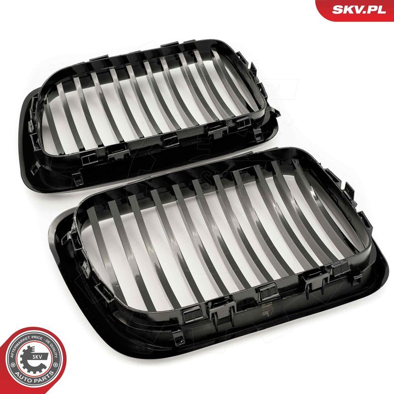 ESEN SKV, Grille de radiateur