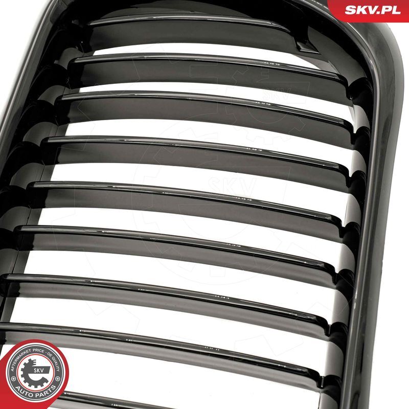 ESEN SKV, Grille de radiateur