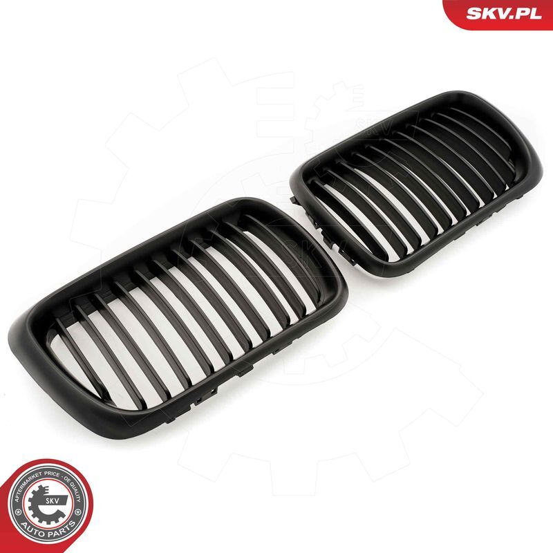 ESEN SKV, Grille de radiateur