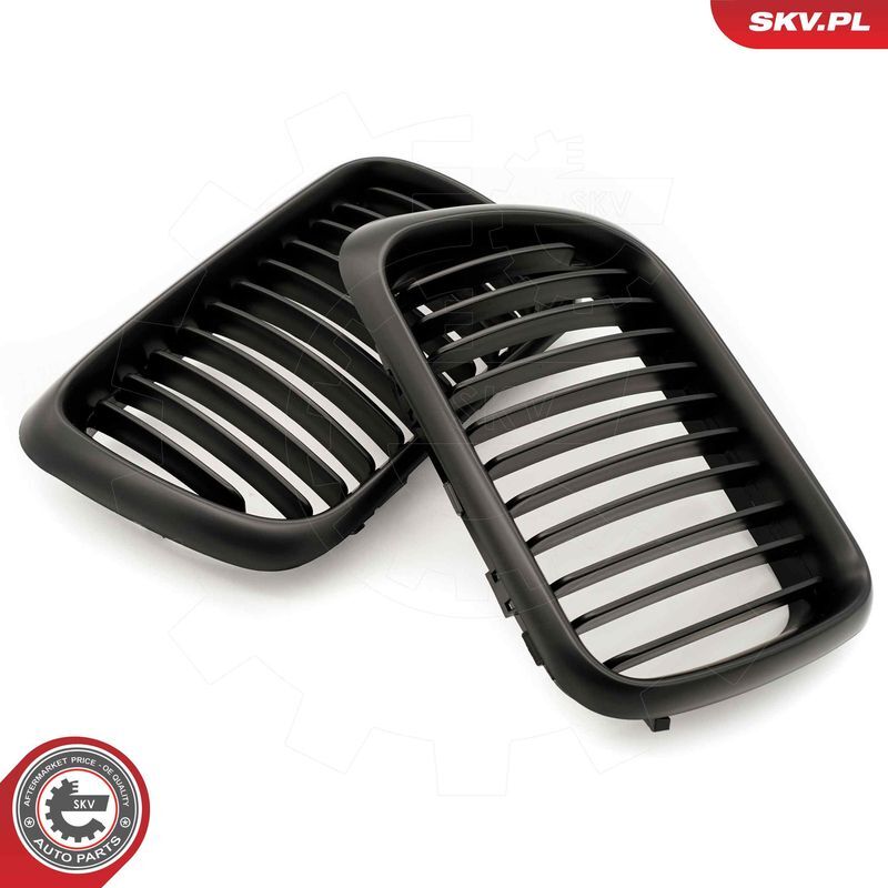 ESEN SKV, Grille de radiateur