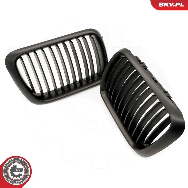 ESEN SKV, Grille de radiateur