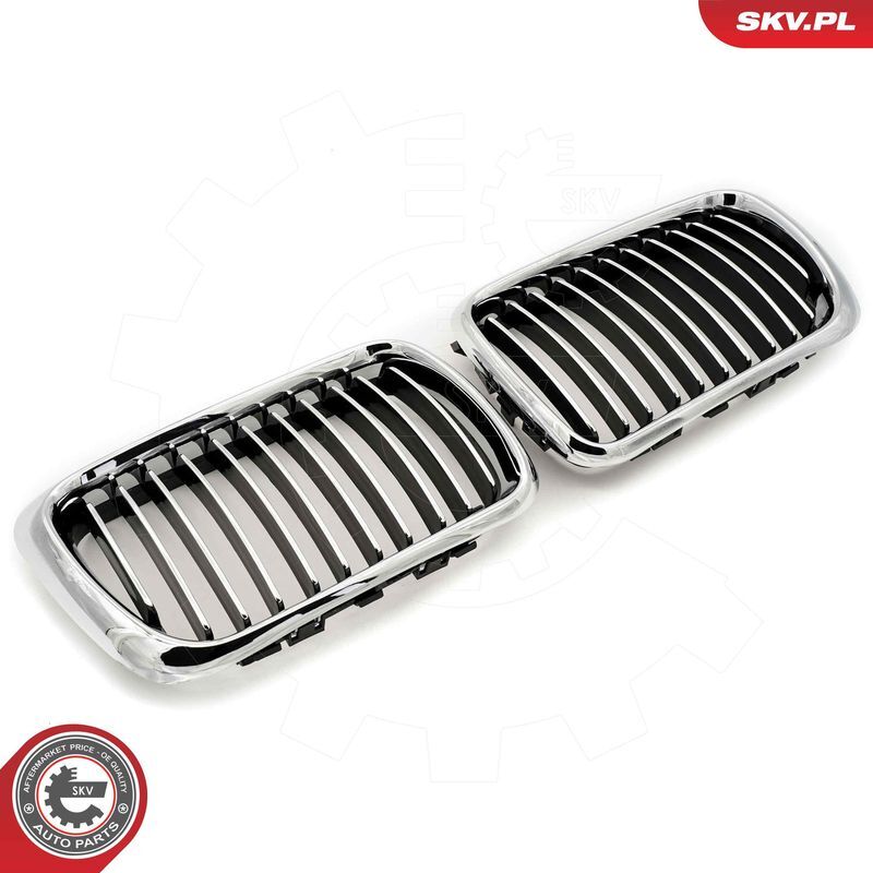 ESEN SKV, Grille de radiateur