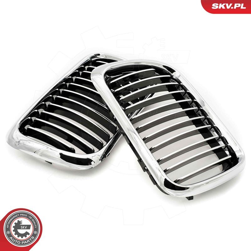 ESEN SKV, Grille de radiateur