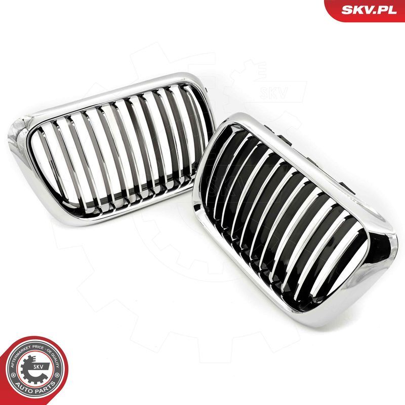 ESEN SKV, Grille de radiateur